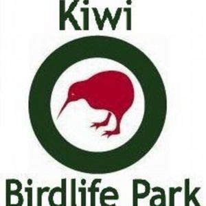 Pateke Captive Breeding Facility - Kiwi Birdlife Park Queenstown