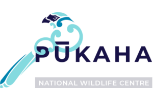 Pateke Captive Breeding Facility  - Pukaha (Mt Bruce) National Wildlife Centre